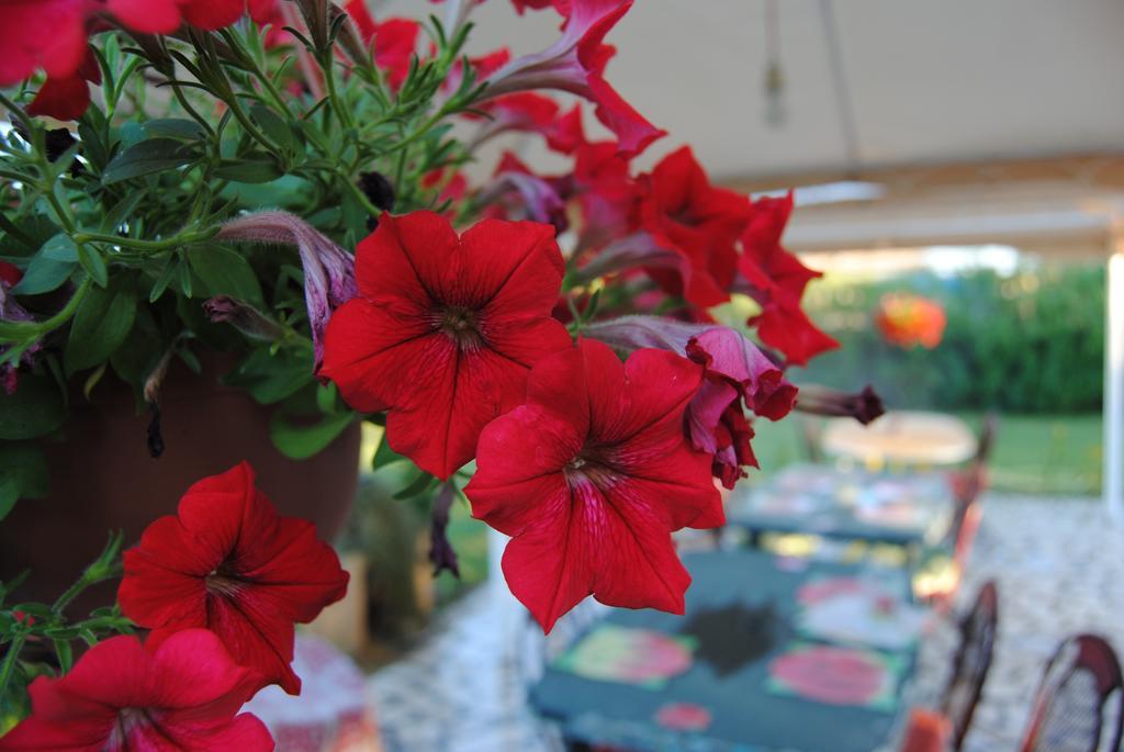 Bed and Breakfast Dolce Morfeo Mannazzu Esterno foto